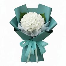 Букет цветов из:  Гортензия #REPLACE_PRED# Витязево